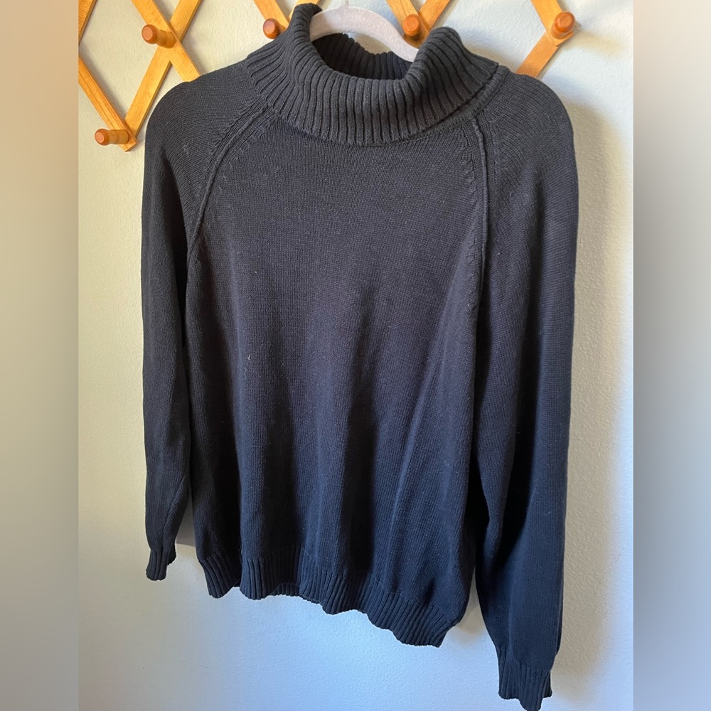 Turtle Neck Sweater